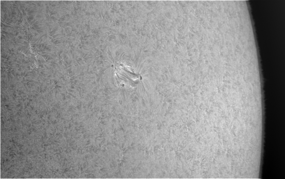 2021-04-19-1037_7-Sun  Surface active region not designated.jpg