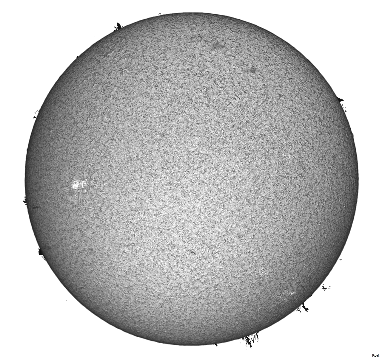 Sol del 18 de abril del 2021-Solarmax 90-DS-BF30-1pos-neg.jpg