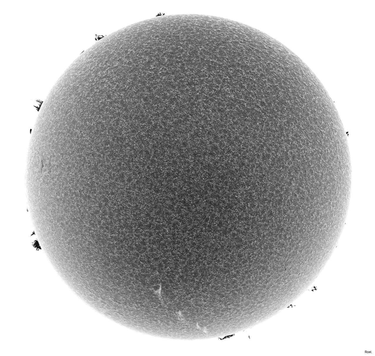 Sol del 4 de mayo del 2021-Solarmax 90-DS-BF30-1neg.jpg