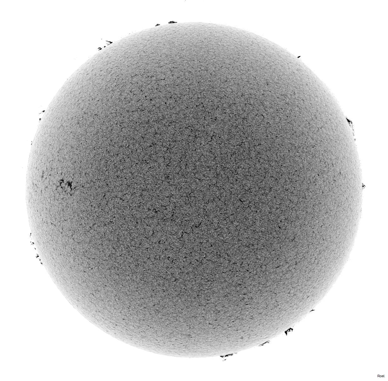 Sol del 5 de mayo del 2021-Meade-CaK-PSTmod-1neg.jpg