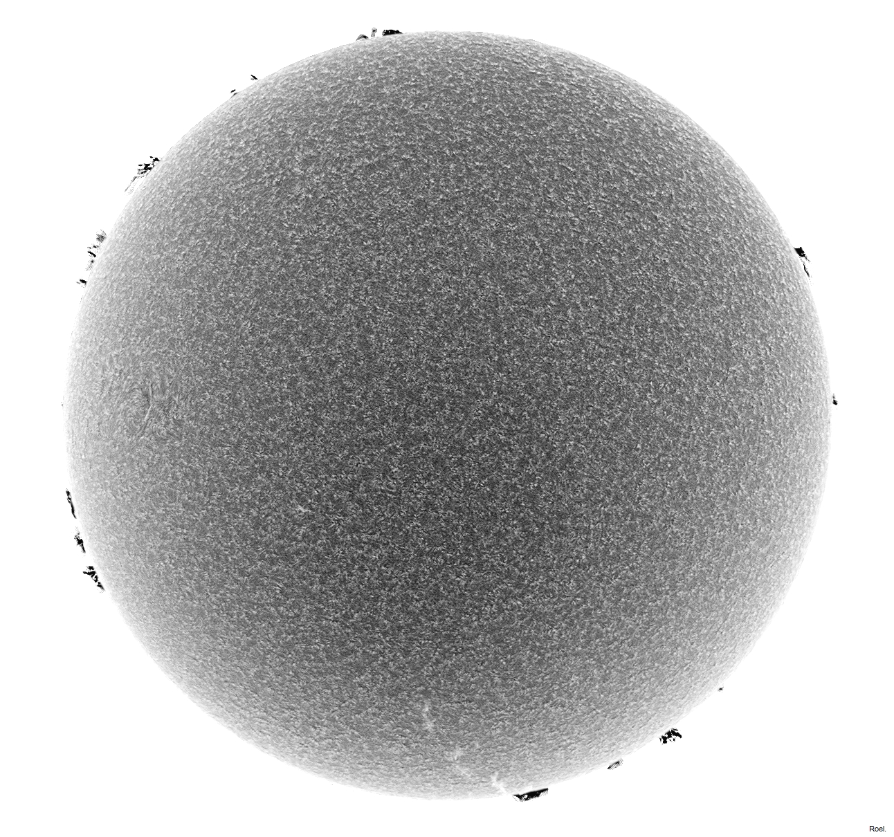 Sol del 5 de mayo del 2021-Solarmax 90-DS-BF30-1neg.jpg