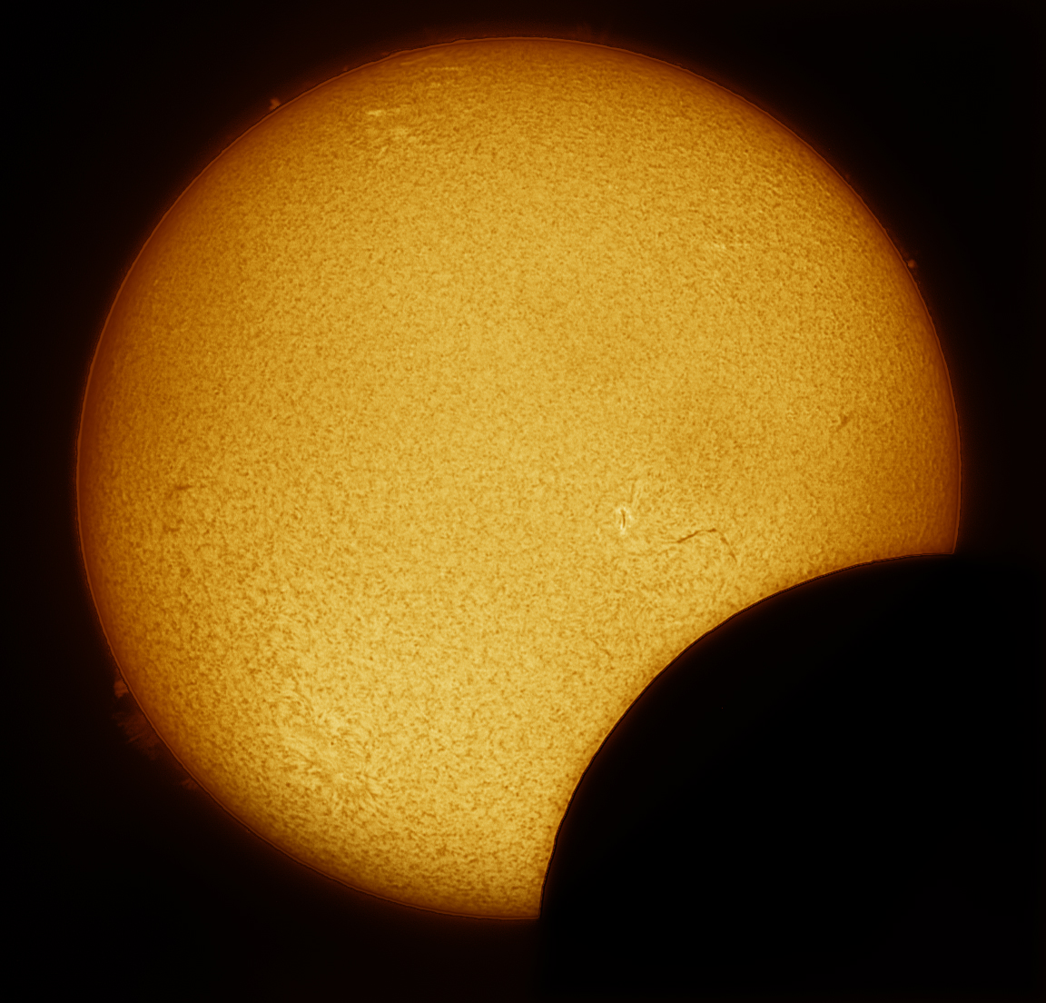 Eclipse 10-6-2021 10-36am Rod Tippett.jpg
