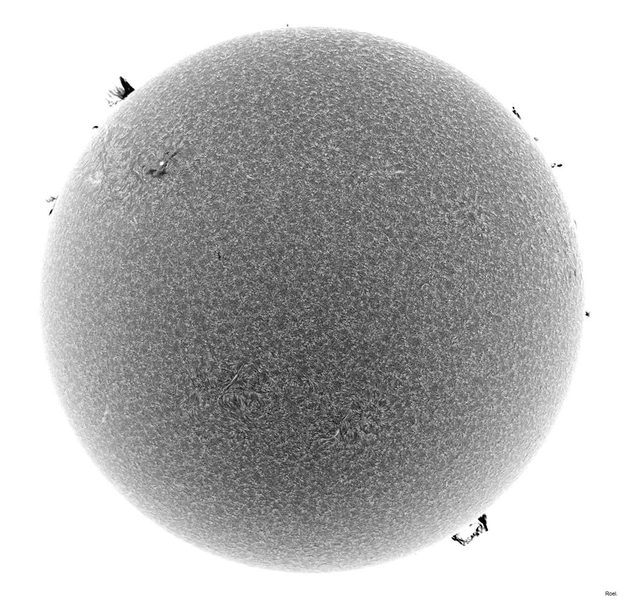 Sol del 15 de junio del 2021-Solarmax 90-DS-BF30-1neg.jpg