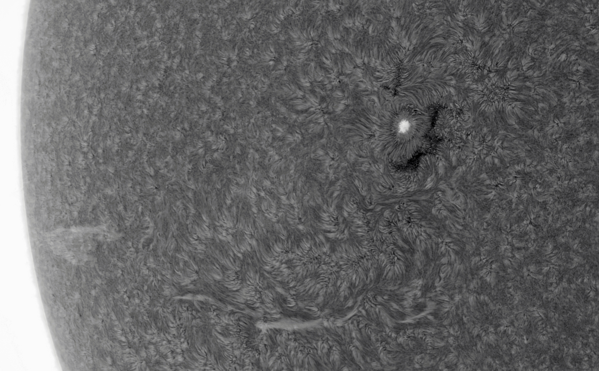 080019 AR2833 and filaments inverted.jpg