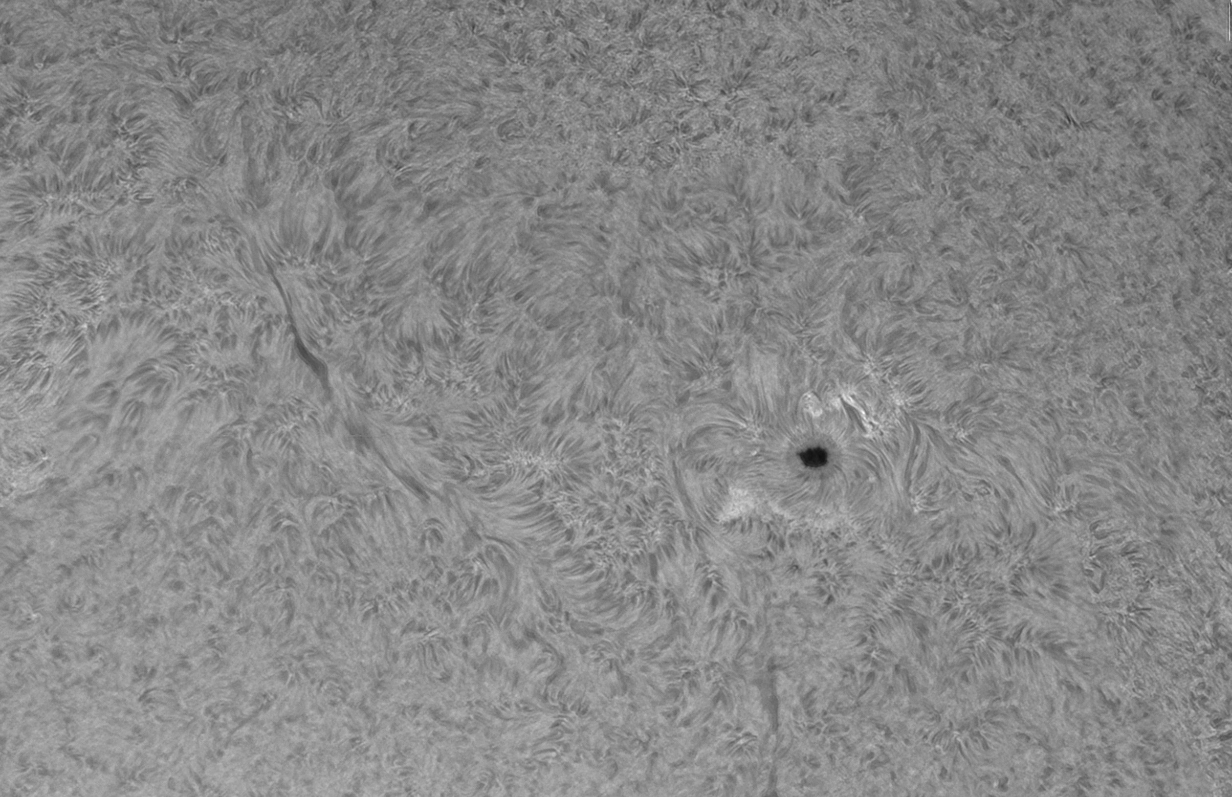 AR2833.jpg