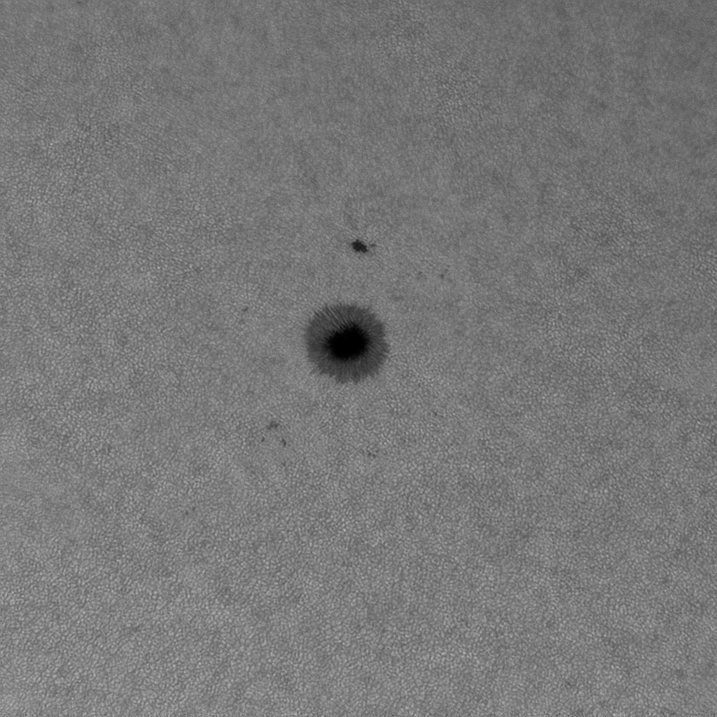 AR2833-WL.jpg