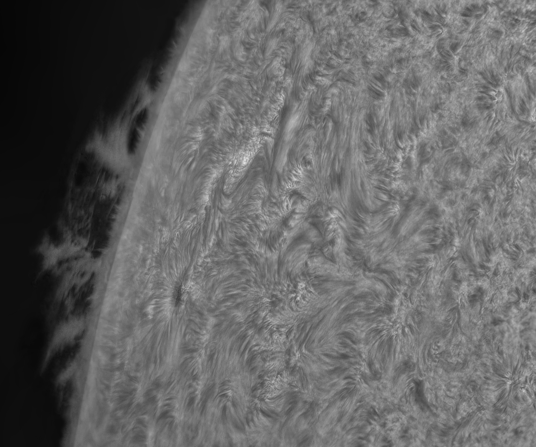 AR2842 July 11