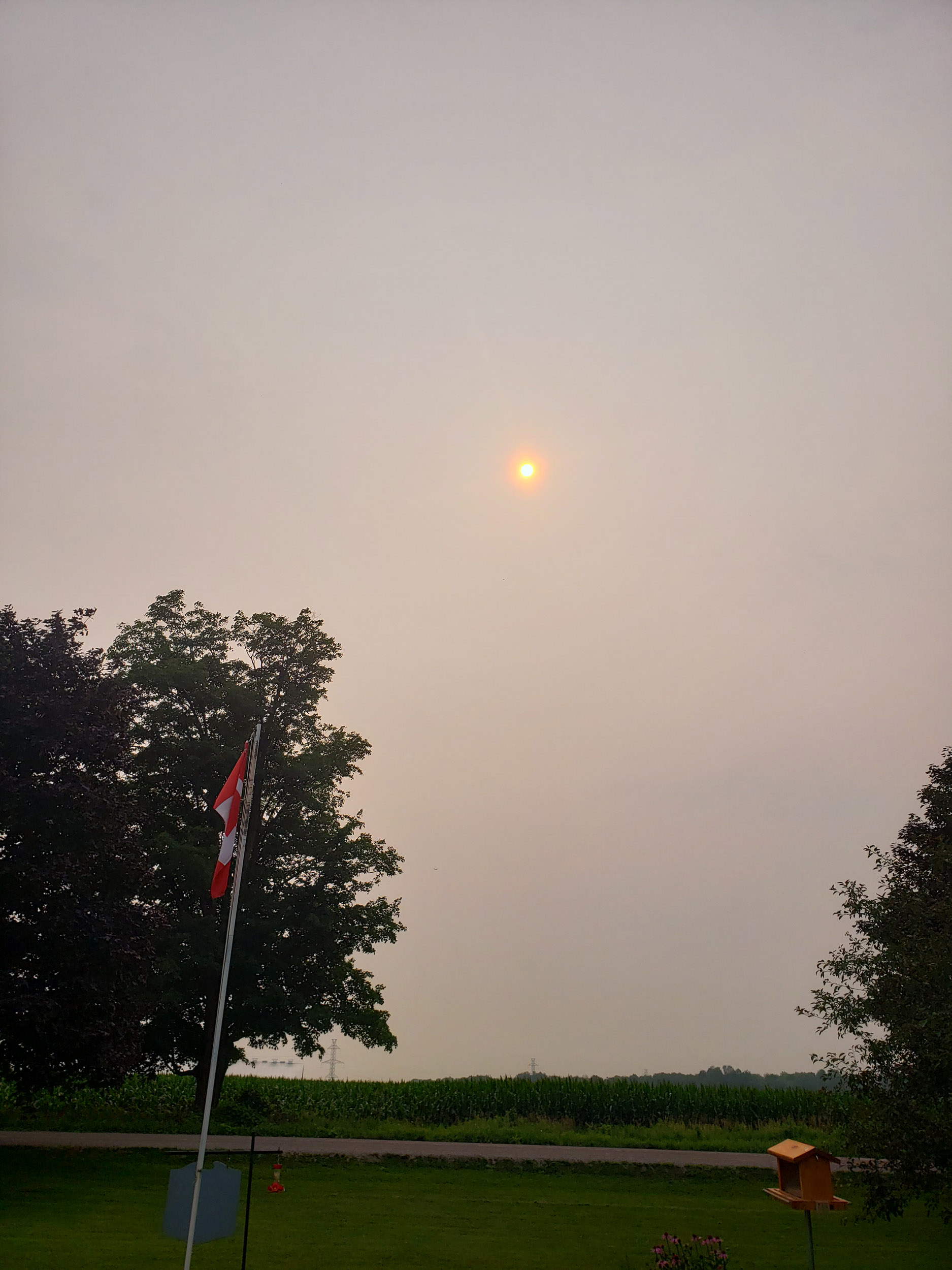 Smokey-Sun.jpg