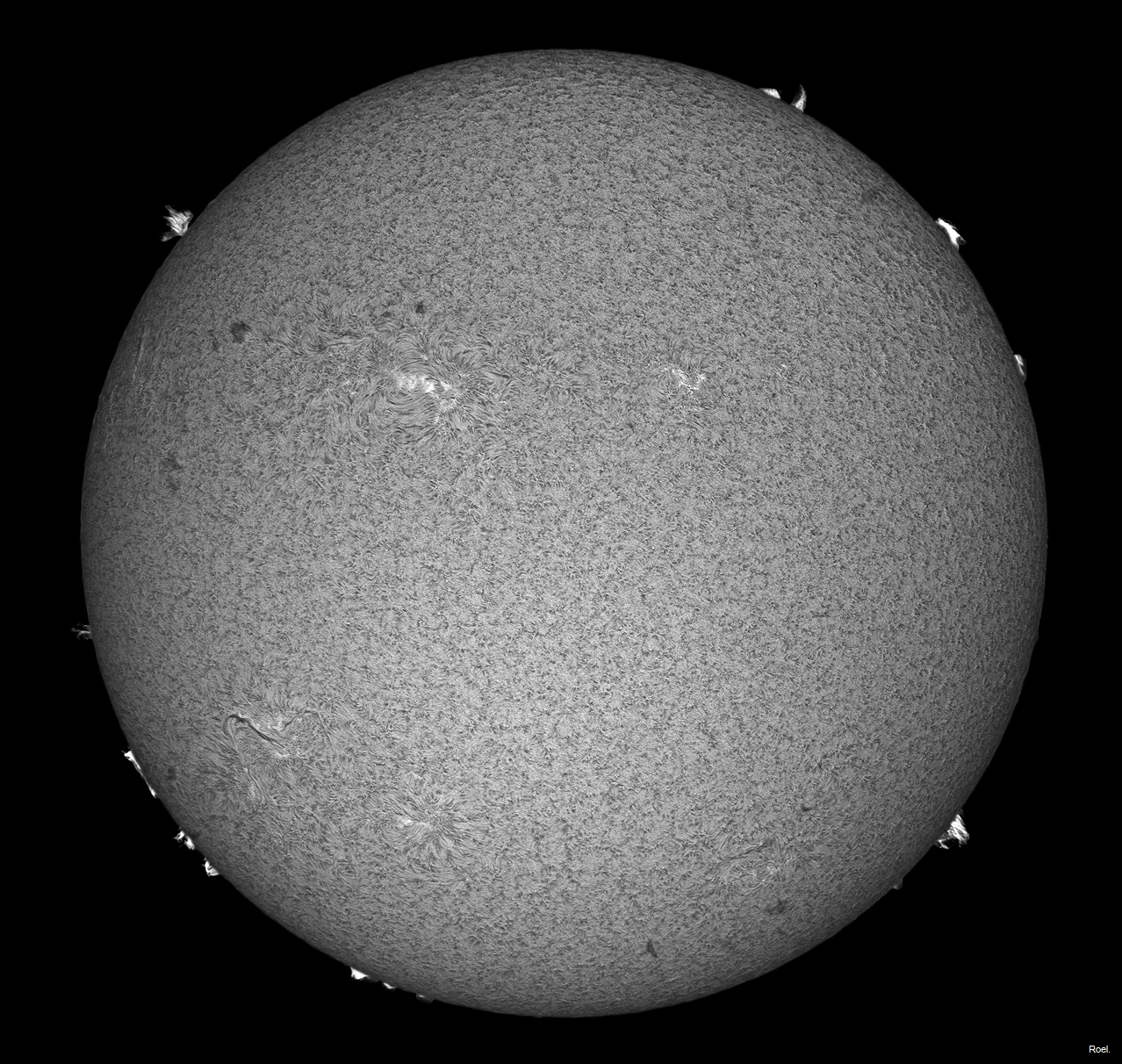 Sol del 24 de julio del 2021-Solarmax 90-DS-BF30-1pos.jpg