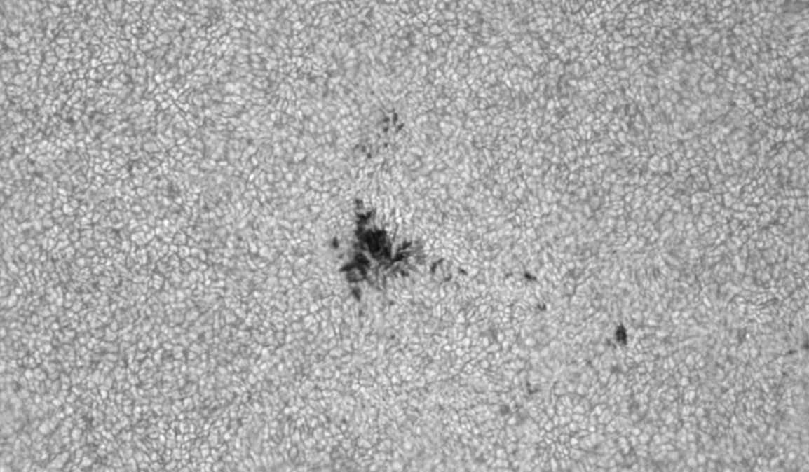 AR2846 WL.jpg