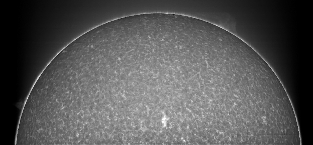 Calcium H disk and prominences