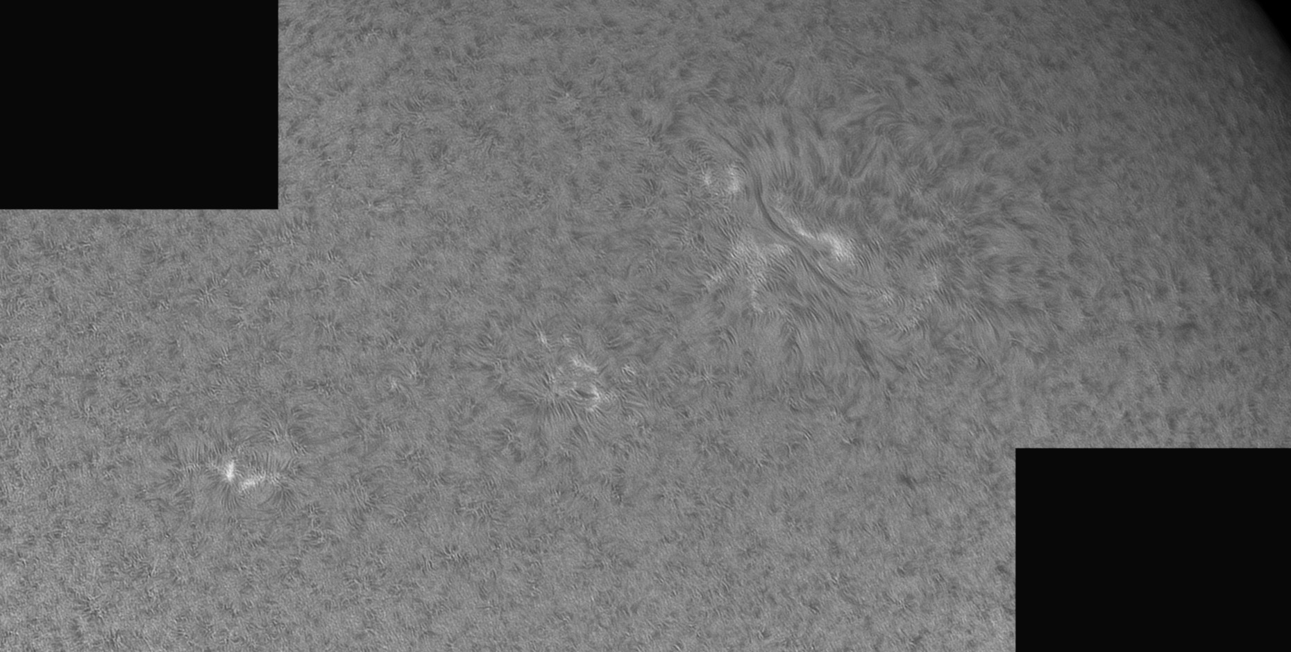 AR2853-2857-2855-Ha_1600.jpg