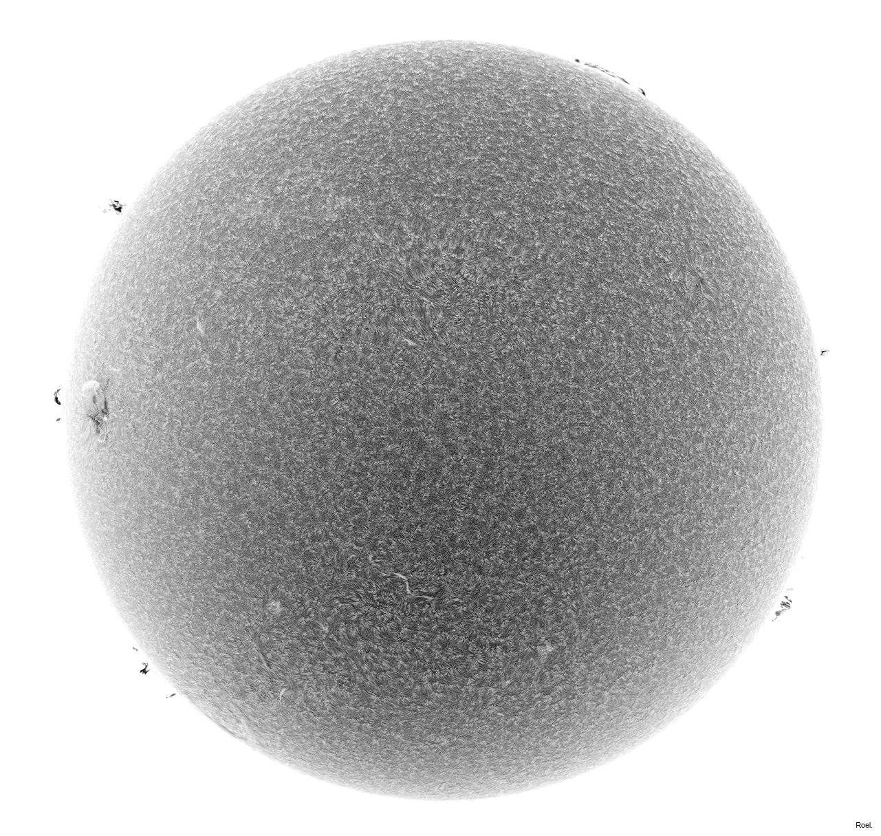 Sol del 22 de agosto del 2021-Solarmax 90-DS-BF30-1neg.jpg