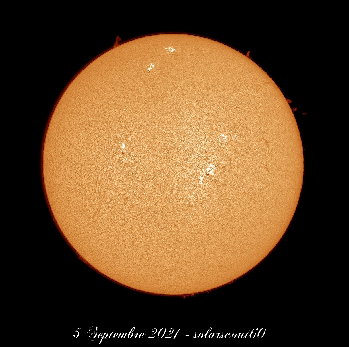 solarscout-a.jpg