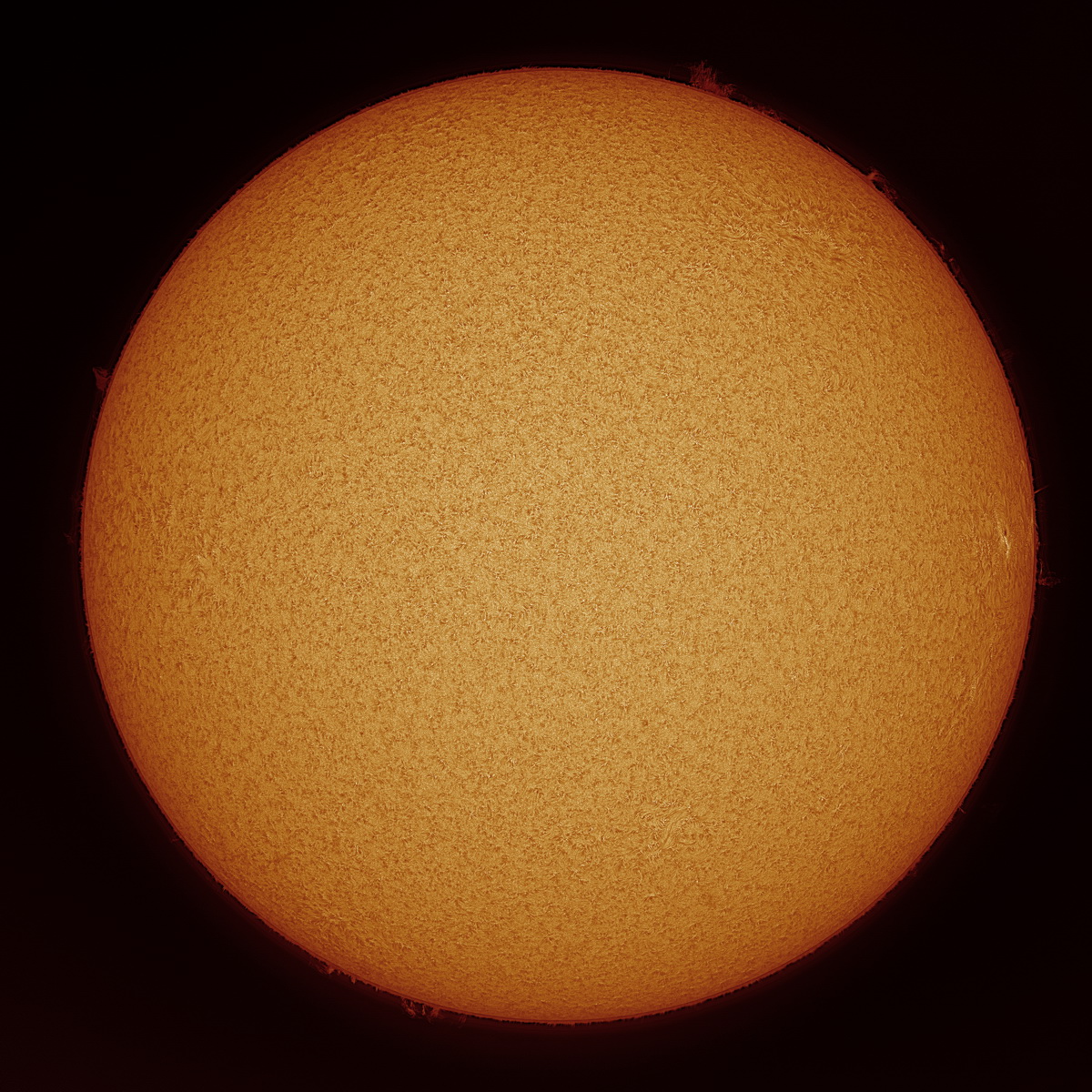 Sun90FD_120631_Ha_(Coronado_90mm_BF15)_20210914_ZWO ASI183MM_lapl4_ap8053_out_Contrast_Colorized_resize.jpg