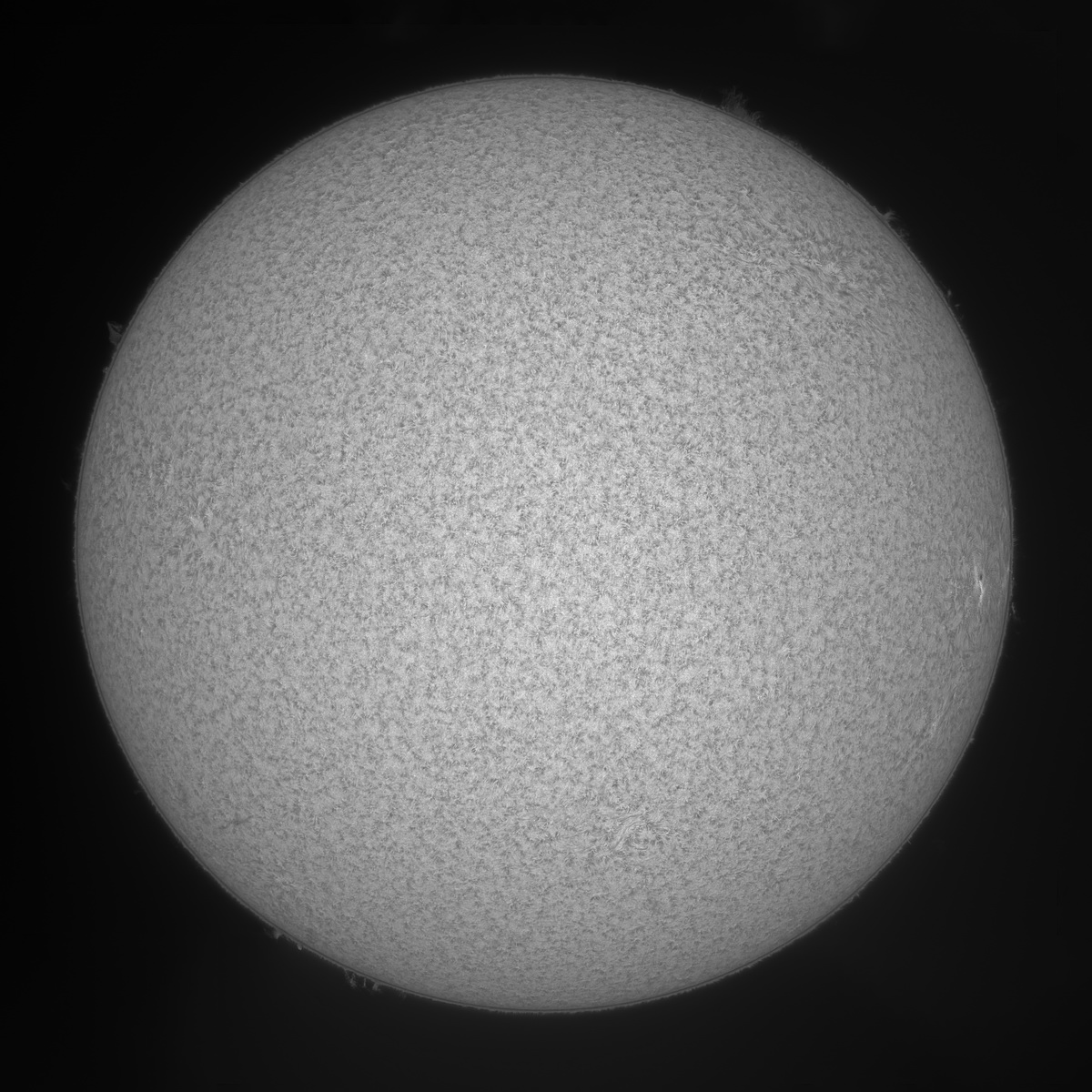 Sun90FD_115826_Ha_(Coronado_90mm_BF15)_20210914_ZWO ASI183MM_lapl4_ap7566_out_stitch_Contrast_resize.jpg