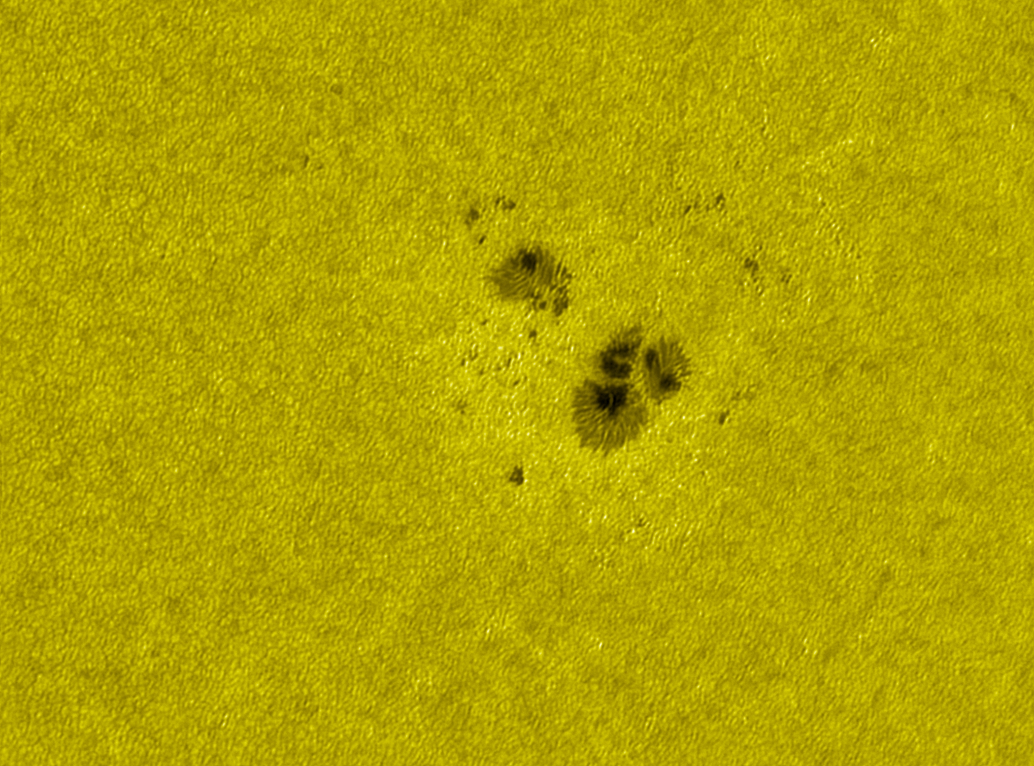 110706 AR2871 sodium color.jpg