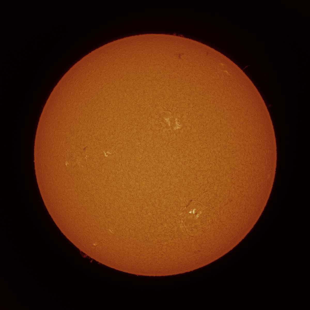 Sun60FD_082422_Ha_20210925_ZWO ASI178MM(53096324)_lapl4_ap3635_out_Contrast_Colorized_resize.jpg