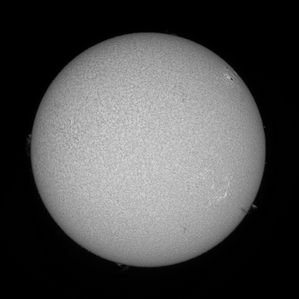 Sun60FD_092504_Ha_20211015_ZWO ASI178MM(53096324)_lapl4_ap3677_out_Contrast_resize.jpg