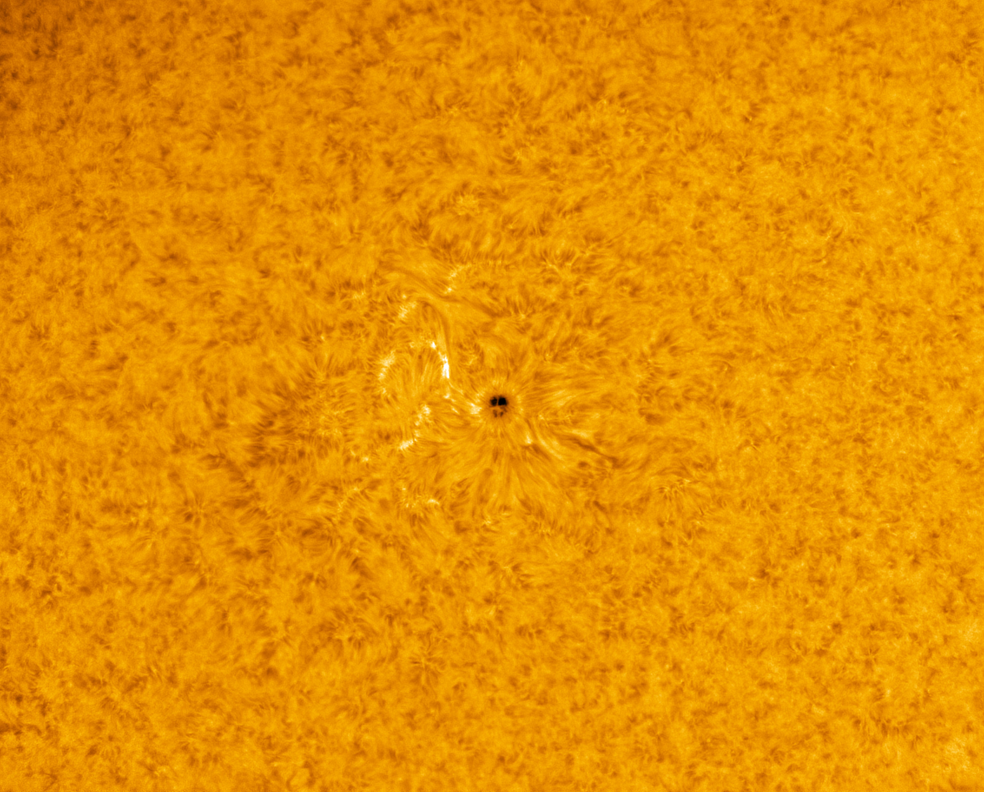 094157 AR2893 wide field color.jpg