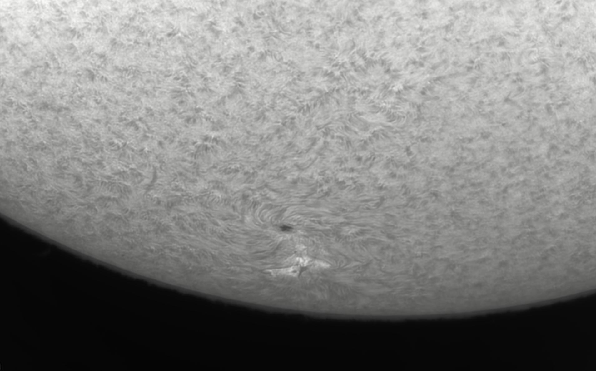 092818 AR2894 mono.jpg