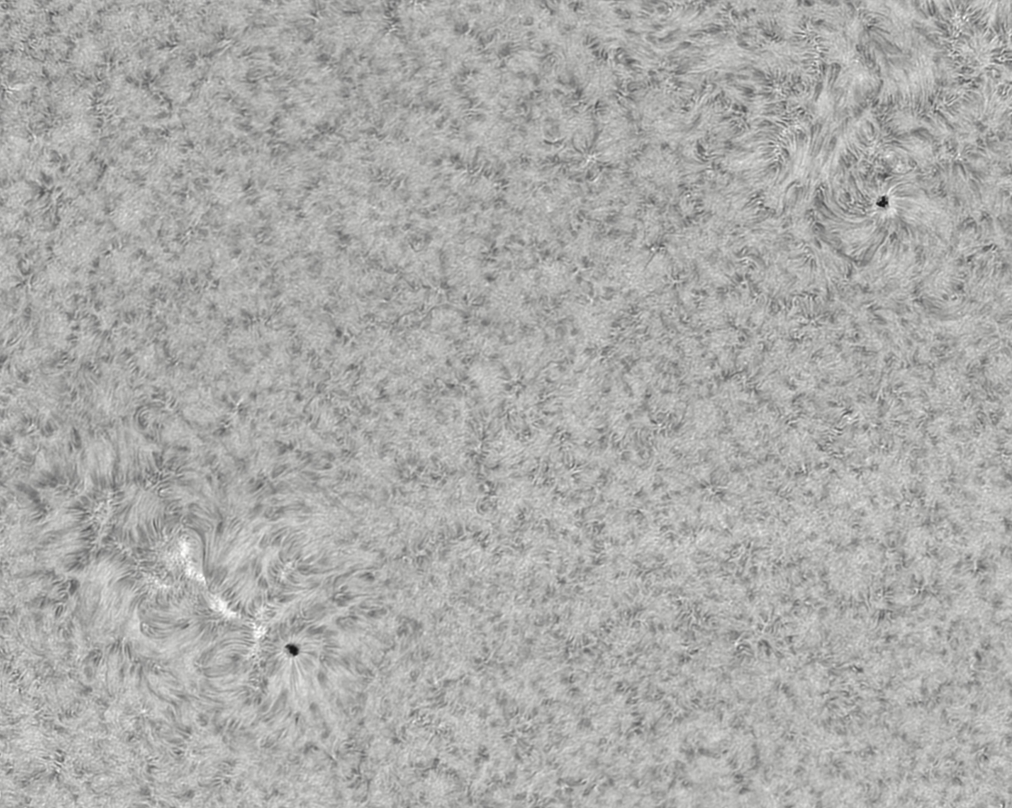 094353 AR2896 and AR2897.jpg