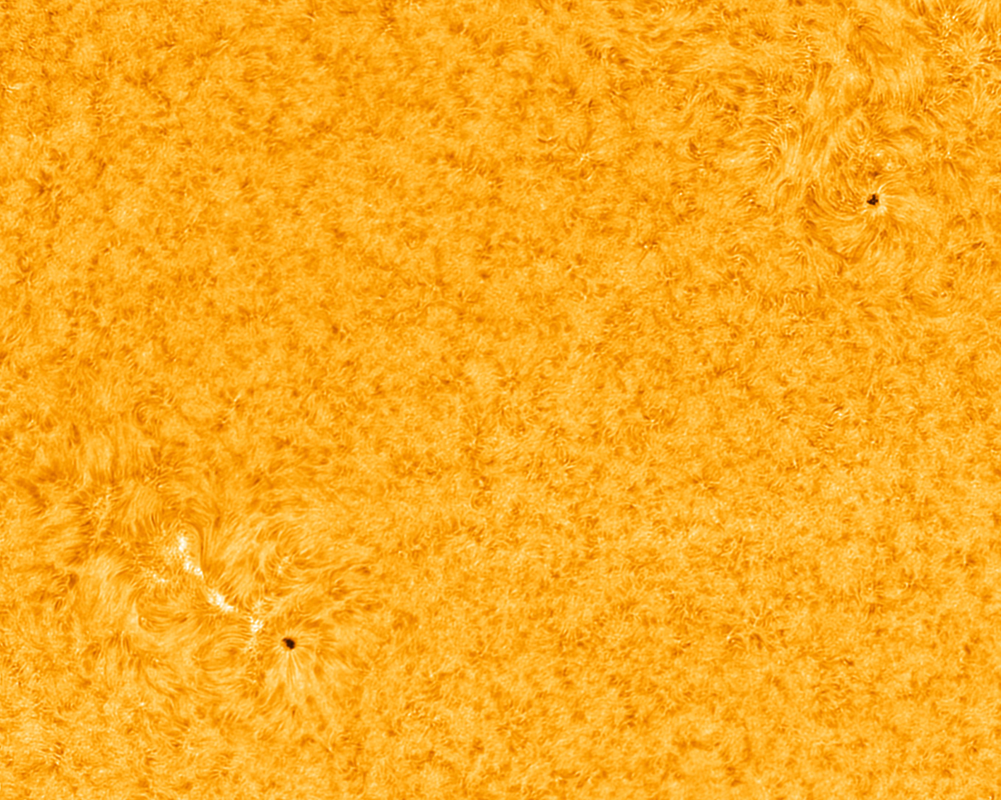 094353 AR2896 and AR2897 color.jpg