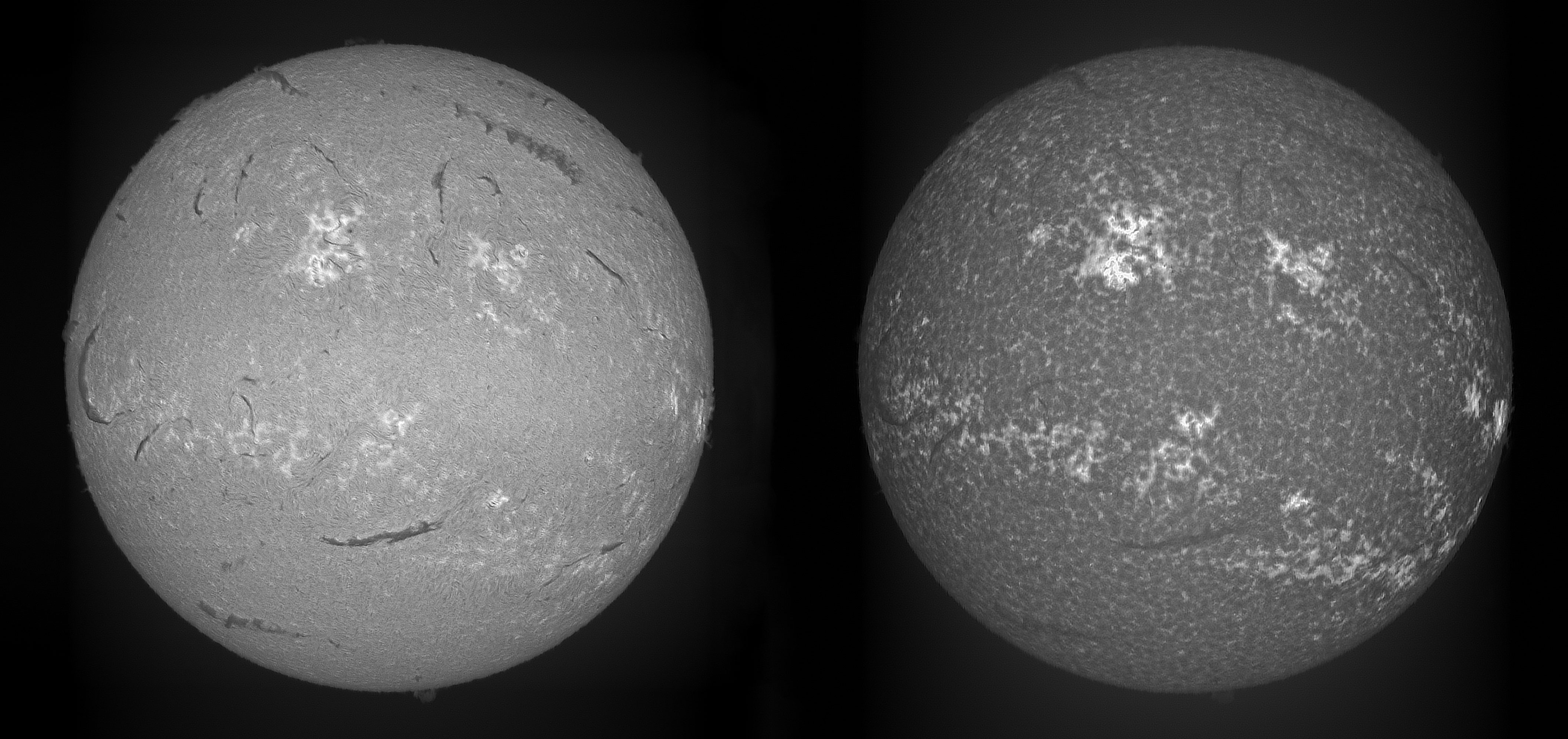 H-alpha (left) and Ca-H (right). SHG on Skywatcher 80ED 600mm focal length. H-alpha: 4ms exposure, gain 144 (28%), 248fps, stack of 8 frames. Ca-H: 4ms exposure gain 141 (27%), 248fps, stack of 6 frames. Both scanned in RA. FireCapture, AS!3, ImPPG, Photoshop Elements.