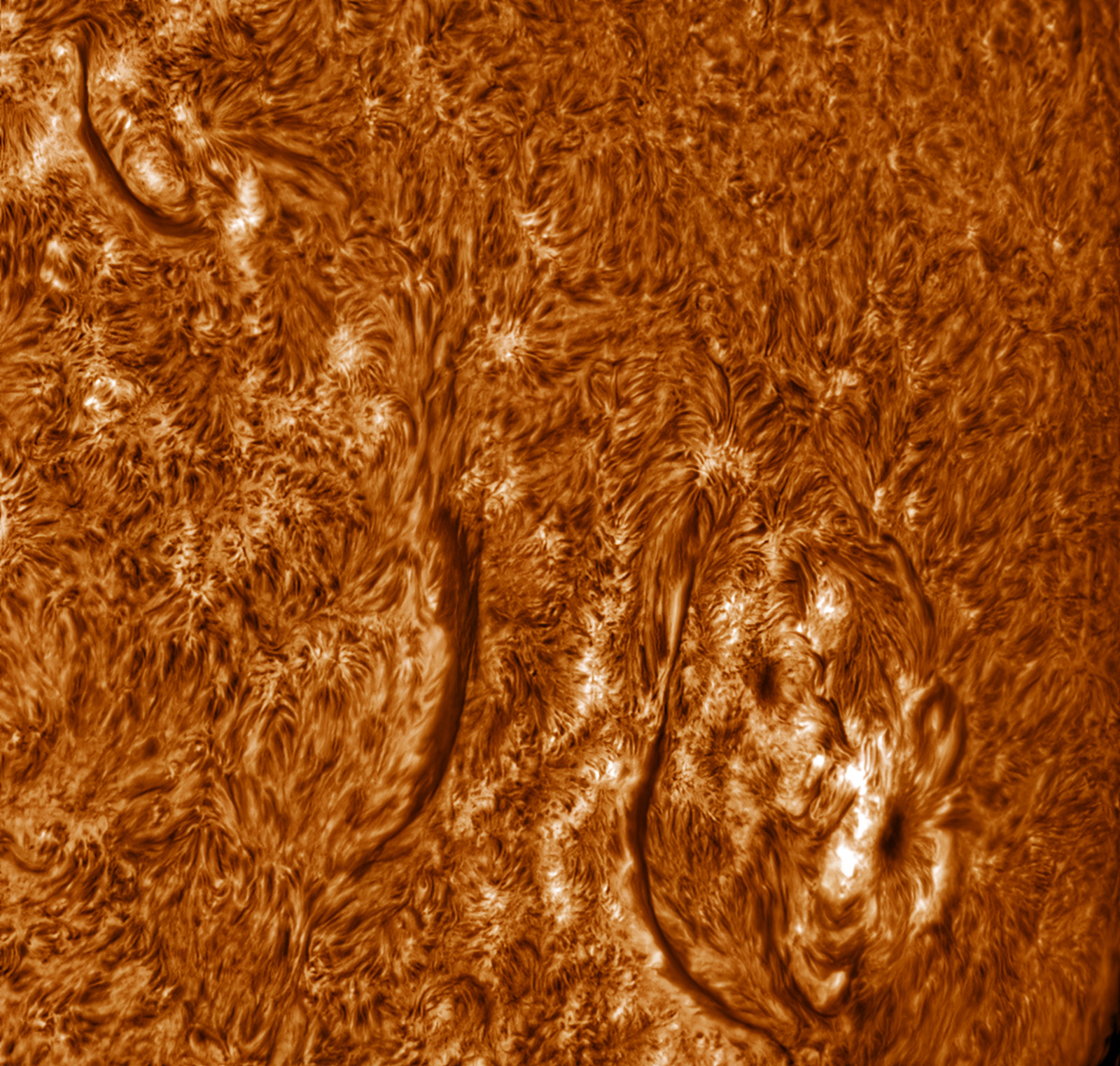 AR100/F45, IMX533