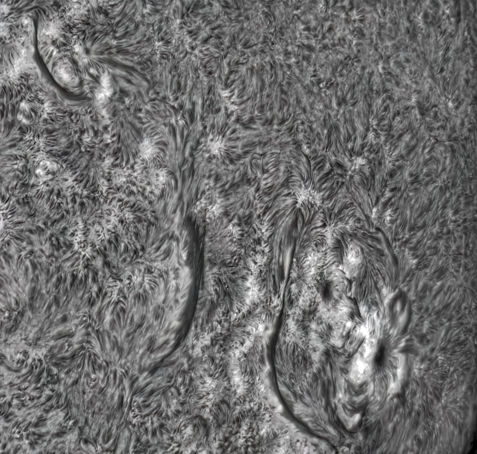 AR100/F45, IMX533