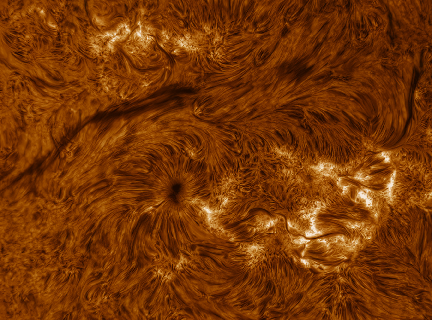 AR200/F8.5, TV4x, IMX429