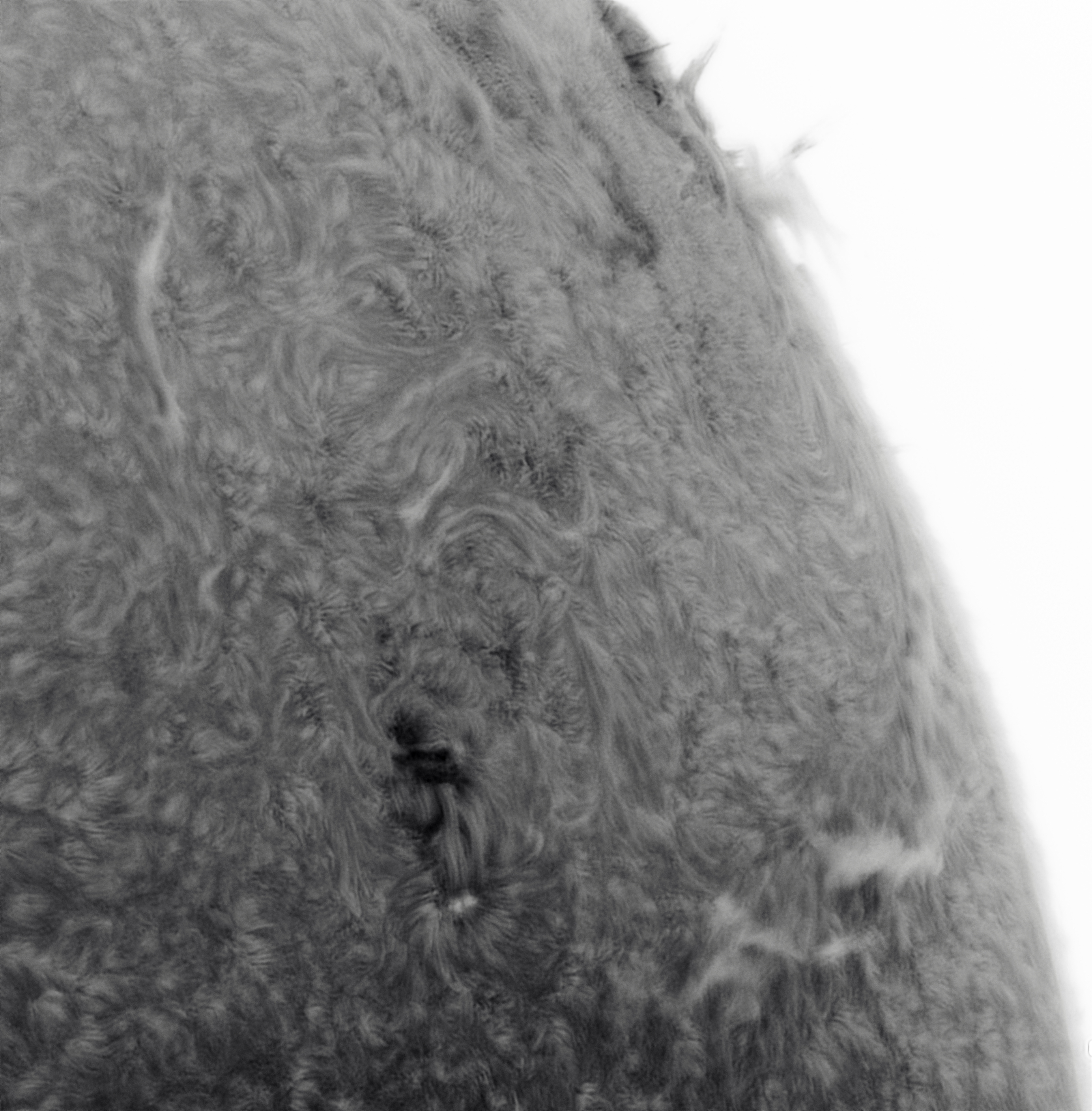 1229-3 Chromosphere 2 inverted.jpg