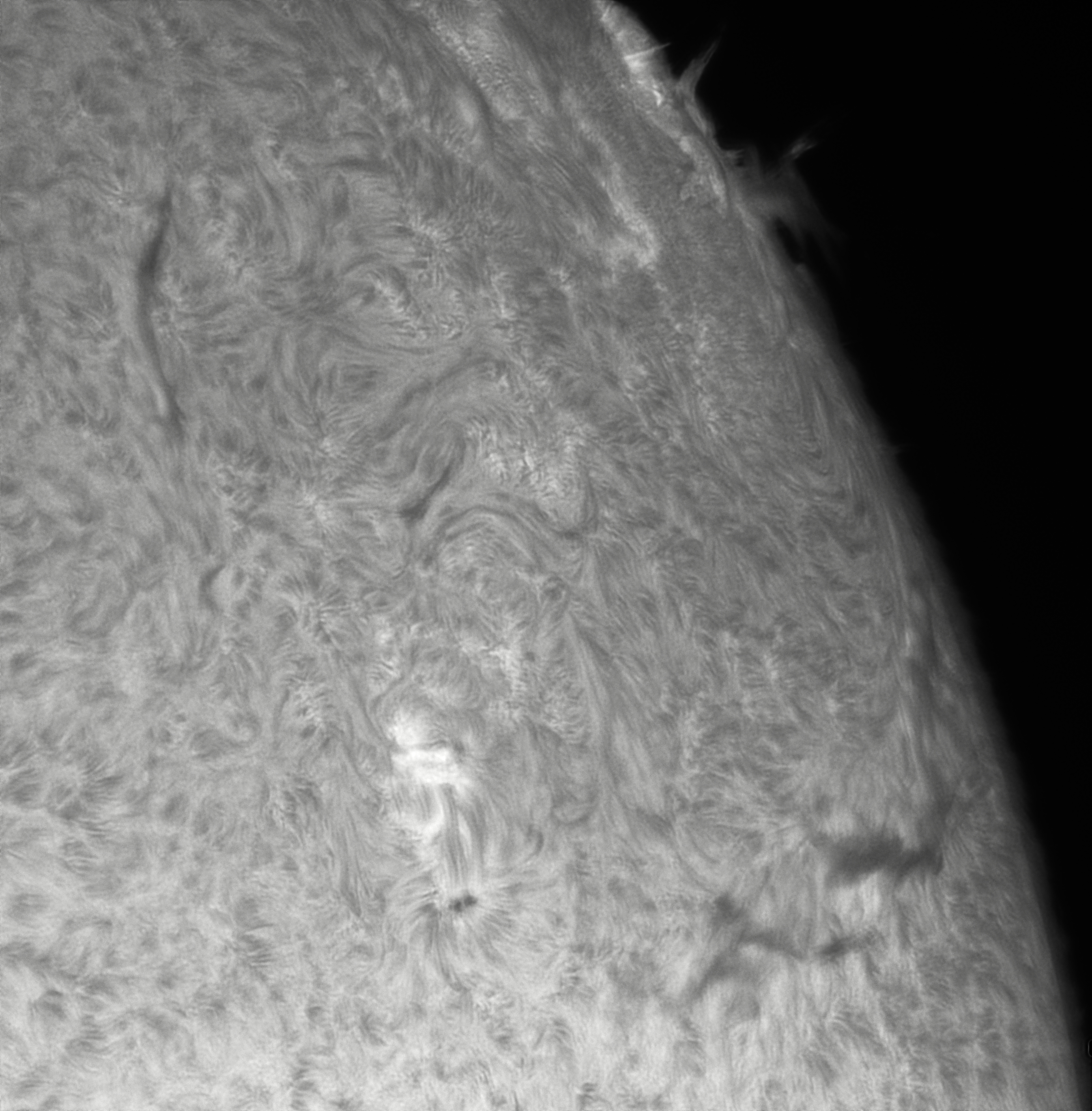 1229-3 Chromosphere 2.jpg