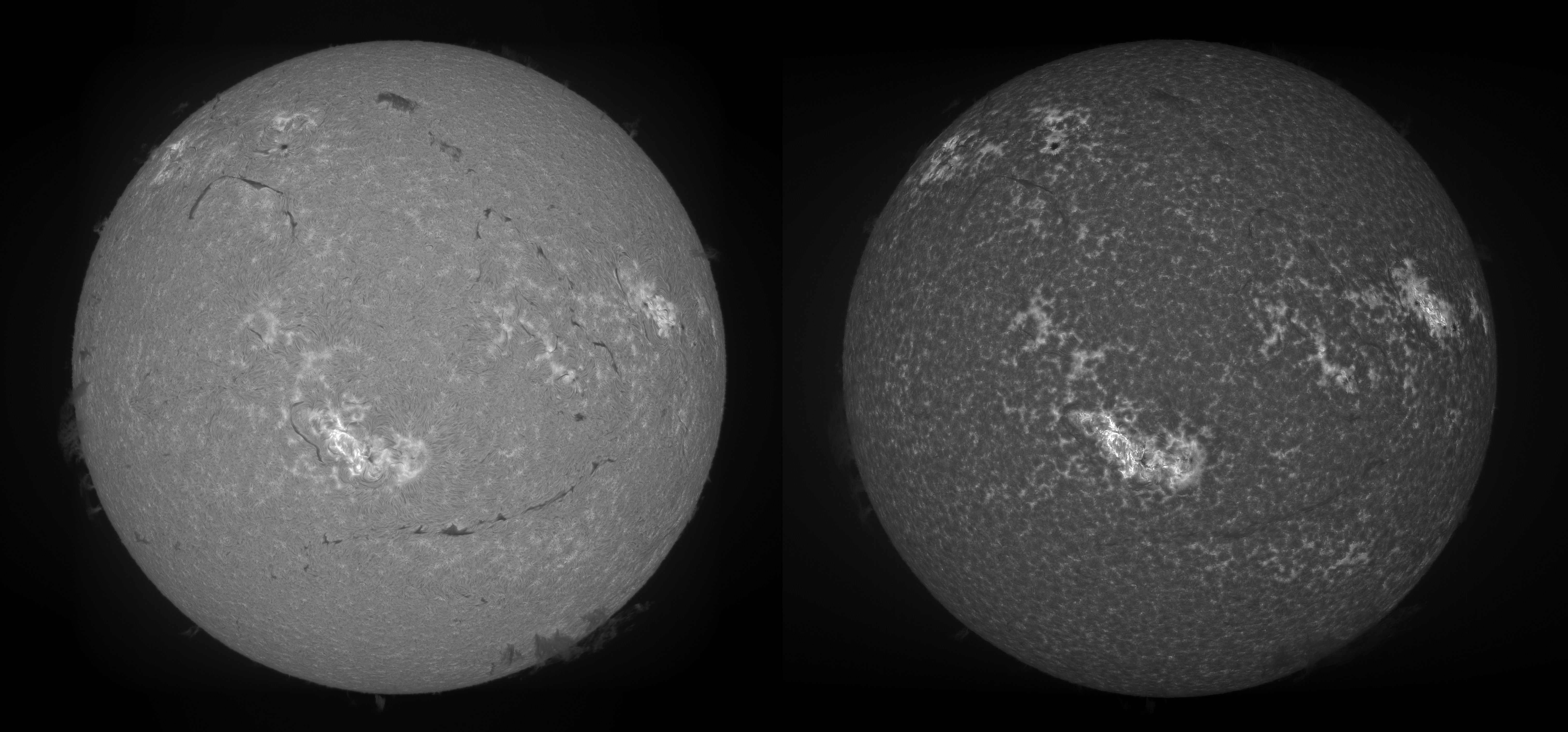 Left: H-alpha SHG, 106mm aperture. Stack of 18 scans. Right: Ca-H SHG, 72mm aperture. Stack of 17 scans. 9 micron wide chrome on quartz slit, 12mm long. 2400 l/mm holographic diffraction grating, 50mm x 50mm. Astronomik L1 filter, ZWO 183MM camera, ZWO EAF.